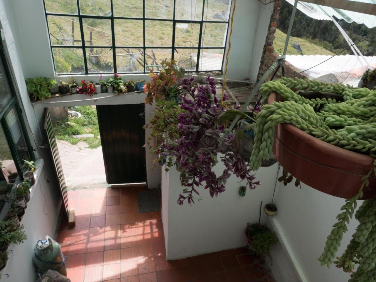 Hospedaje Bella Vista Monguí Eksteriør billede